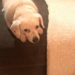 Photo of Cody / Zack