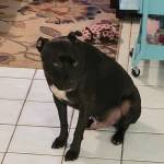 Photo of Elliot & Aiko