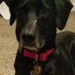 Photo of Stormageddon & Jingle