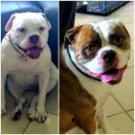 Photo of Chloe & Bailey