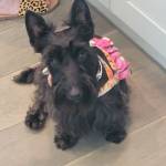 Photo of Fiona and Winston