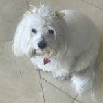 Photo of Doug / Ellie