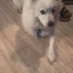 Photo of Noortje / Miesje