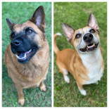 Photo of Luna & Sasha