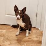 Photo of Noah, Simon & Charlie