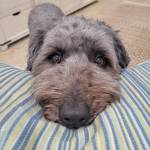 Photo of Motley and Brittany