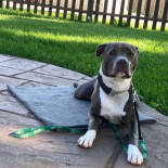 Photo of Mason, Millionaire & Myah