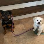 Photo of Cooper & Faith