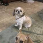 Photo of Jaxson/Maddie