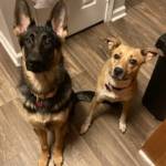 Photo of Augie & June