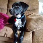 Photo of Logan