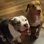 Photo of Chapo & Marley