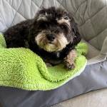 Photo of Bagel / Donut