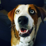 Photo of Nyla Priscilla