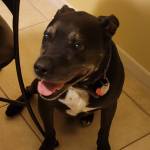 Photo of Freedom & Hash