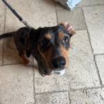 Photo of Russell / Tripp / Ralphie