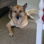 Photo of Haymitch, Dakotah & Decland