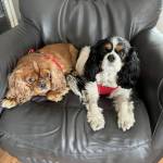 Photo of Cara and Charlotte