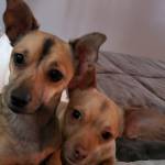 Photo of Wilma and Marcus