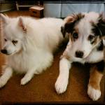 Photo of Amity / Misty