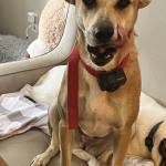 Photo of Princess Ruby