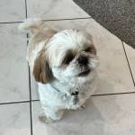 Photo of Annie / Layla