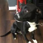 Photo of Dakota/Morgan