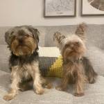 Photo of Leo and Niko