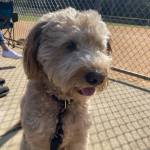 Photo of Jack and Charlie