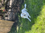Photo of Lola