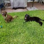 Photo of Teddy & Bear