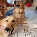 Photo of Stella & Tobi