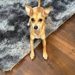 Photo of Pablo / Macho