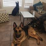 Photo of Legend, Myth, Luna