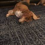 Photo of Waylon / Lash