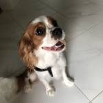 Photo of Brodie & Baxter