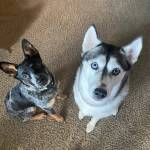 Photo of Yuki and Rio