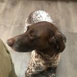 Photo of Emma,Dewey, and Boo