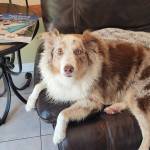 Photo of Murphy & Harley