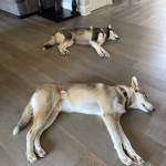 Photo of Cobalt & Ghost