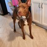 Photo of Rocky & Charlie