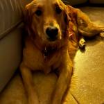 Photo of Oakley / Ghita