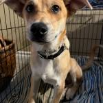 Photo of Boogie / Disco