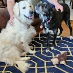 Photo of Charlie & Lacey