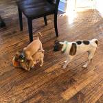 Photo of Gigi, Leo, Zoey