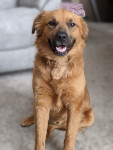 Photo of Reggie