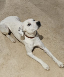 Photo of Ricky Bobby