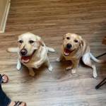 Photo of Cooper Casey