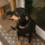 Photo of Bailey & Kaia