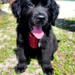 Photo of Sully & Jake